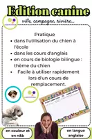 Aperçu - Jeux - Anglais : Edition canine : Jeu du Baccalauréat - Page 2