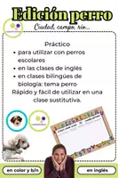 Vista previa - Juegos / Gamificación - Inglés : Dog Edition: bachillerato | basta | School Dog - página 1