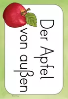 Vorschau - Arbeitsblätter - Die Teile des Apfels - Differenzierte Arbeitsblätter - Seite 2