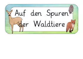 Vorschau - Unterrichtsreihen - Der Wald - XXL Materialpaket - Seite 3