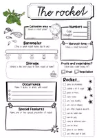 Vorschau - Arbeitsblätter - Rocket fact sheet (English) - Seite 1