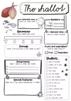 Vorschau - Arbeitsblätter - Shallot fact sheet (English) - Seite 1