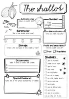 Vorschau - Arbeitsblätter - Shallot fact sheet (English) - Seite 2