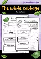 Vorschau - Arbeitsblätter - White cabbage fact sheet (English) - Deckblatt