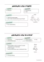 Vorschau - Stationenlernen - Nachweisreaktionen - Deckblatt