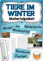 Vorschau - Arbeitsblätter - Materialpaket Winter - Seite 1