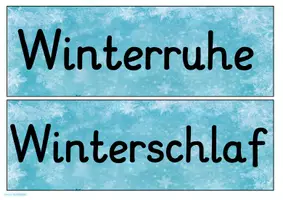 Vorschau - Arbeitsblätter - Tiere im Winter - Seite 3