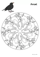 Vorschau - Mal- und Bastelvorlagen - Mandalas "Vögel im Winter" - Ausmalbilder - Seite 3