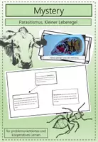 Vorschau - Arbeitsblätter - Mystery Parasitismus (Wirbellose Tiere) - kleiner Leberegel - Deckblatt