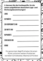 Vorschau - Arbeitsblätter - Vokabeltest Bewegungsapparat und Diskusprolaps - Seite 2
