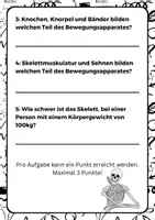 Vorschau - Arbeitsblätter - Vokabeltest Bewegungsapparat und Diskusprolaps - Seite 3