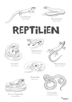 Vorschau - Mal- und Bastelvorlagen - Reptilien - Poster, Übersicht - Seite 3