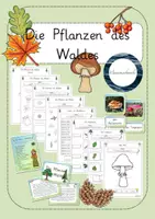 Vorschau - Unterrichtsreihen - Die Pflanzen des Waldes - differenzierte Unterrichtseinheit - Deckblatt