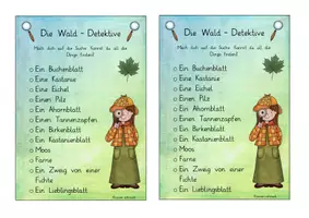 Vorschau - Unterrichtsreihen - Die Pflanzen des Waldes - differenzierte Unterrichtseinheit - Seite 2