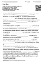 Vorschau - Arbeitsblätter - Arbeitsblatt "Mineralien" + interaktive Lösung & MP3 + Infografik - Deckblatt