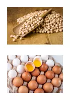 Vorschau - Arbeitsblätter - Gesunde Ernährung Arbeitsblätter für die SEK 1: Proteine/Eiweiße - Seite 1