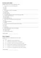 anteprima - Esercizi - Ludwig Wittgenstein (1889-1951) - filosofo, noto per i suoi lavori di logica e filosofia del linguaggio - Pagina 2