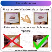 Aperçu - Apprentissages en autonomie - Cartes à pinces singulier-pluriel par 4 - Page de couverture