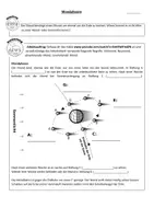 Vorschau - Arbeitsblätter - Arbeitsblatt - Die Mondphasen - Seite 2