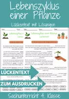 Vorschau - Arbeitsblätter - Materialpaket 10 Lückentexte Klasse 2 bis 5 DaZ Grundschule Fächerübergreifendes - Seite 1