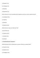 Vorschau - Arbeitsblätter - 40 Multiple-Choice-Fragen zum Thema Klimazonen im Fach Geographie - Seite 2
