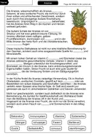 Vorschau - Arbeitsblätter - Ananas Lückentext mit Lösung - Seite 1