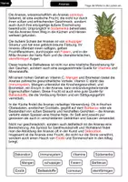 Vorschau - Arbeitsblätter - Ananas Lückentext mit Lösung - Seite 2