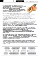 Vorschau - Arbeitsblätter - Aprikose Lückentext - Seite 1