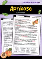 Vorschau - Arbeitsblätter - Aprikose Lückentext - Deckblatt