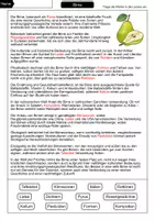 Vorschau - Arbeitsblätter - Birne Lückentext - Seite 2