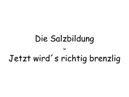Vorschau - Stundenentwürfe - Salzbildung - Interaktive Unterrichtsstunde - Seite 2