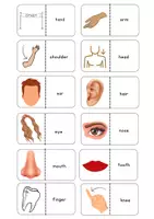 Vorschau - Spiele - Dominospiel Englisch - Body - Seite 2