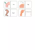 Vorschau - Spiele - Dominospiel Englisch - Body - Seite 3
