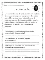 Aperçu - Préparation de séance / Séance complète - 10 Compréhensions de lecture - Insectes/ French Reading Comprehension - Insects - Page 2