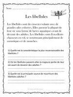 Aperçu - Préparation de séance / Séance complète - 10 Compréhensions de lecture - Insectes/ French Reading Comprehension - Insects - Page 3
