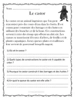 Aperçu - Préparation de séance / Séance complète - 10 Compréhensions de lecture: Animaux / French Reading Comprehension - Animals - Page 3
