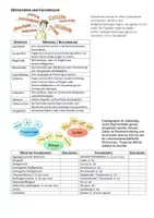 Vorschau - Präsentationen/Tafelbilder - Chemie | Deutsch | Operatoren Fachsprache Beschreiben Erklären - Deckblatt