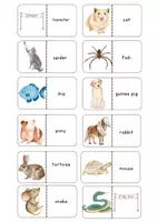 Vorschau - Spiele - Dominospiel Englisch - Pets - Seite 2