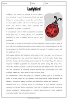 Vorschau - Arbeitsblätter - Ladybird - Reading Comprehension - Seite 1