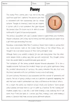 Vorschau - Arbeitsblätter - Penny - Reading Comprehension - Seite 1