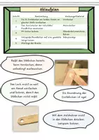 Vorschau - Arbeitsblätter - Grundlagen Fachwerk, Zug- und Druckkräfte der Fachwerkbrücke (+ Präsentation & Videos) - Seite 3