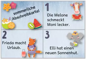 Vorschau - Stationenlernen - Sommerliche Abschreibkartei mit Tieren - Seite 1