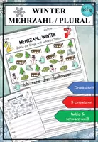 Vorschau - Arbeitsblätter - Winter Plural / Mehrzahl DaZ DaF A1 A2 - Deckblatt