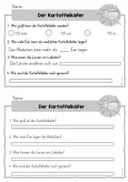 Vorschau - Arbeitsblätter - Der Kartoffelkäfer - Bildkarten Lebenszyklus Lesetext Fragenarbeitblatt - Seite 2