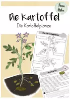 Vorschau - Arbeitsblätter - Die Kartoffel - Die Pflanze / Die Kartoffelpflanze - Deckblatt