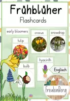 Vorschau - Fördermaterial/Inklusion - Flashcards - Materialpaket (Englisch) - Seite 1