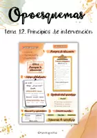 Vista previa - Tarjetas / Manipulativos - Esquema T12. Principios de intervención (Opos Ed. Infantil) - Portada