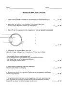Vorschau - Arbeitsblätter - Klassenarbeit zum Thema „Auge, Sinne, Reize“ - Deckblatt