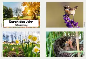 Vorschau - Anderer Materialtyp - Rund um das Jahr - Fotosammlung - Seite 2