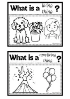 Vista previa - Hojas de trabajo - LIVING and NON-LIVING THINGS - página 2